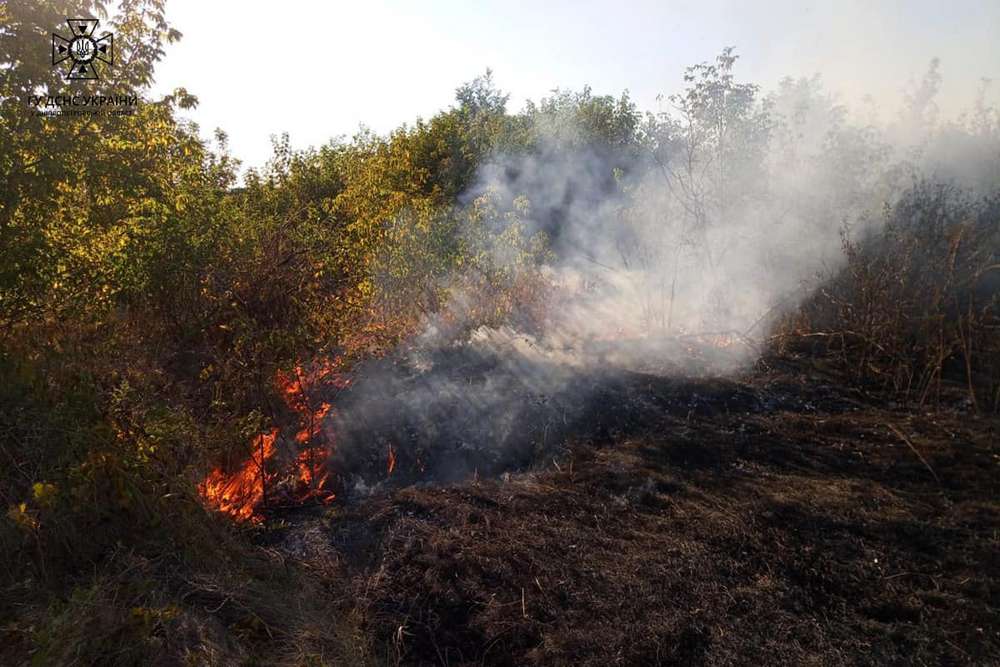 Рятувальники гасили 30 пожеж на Нікопольщині і ще в чотирьох районах області