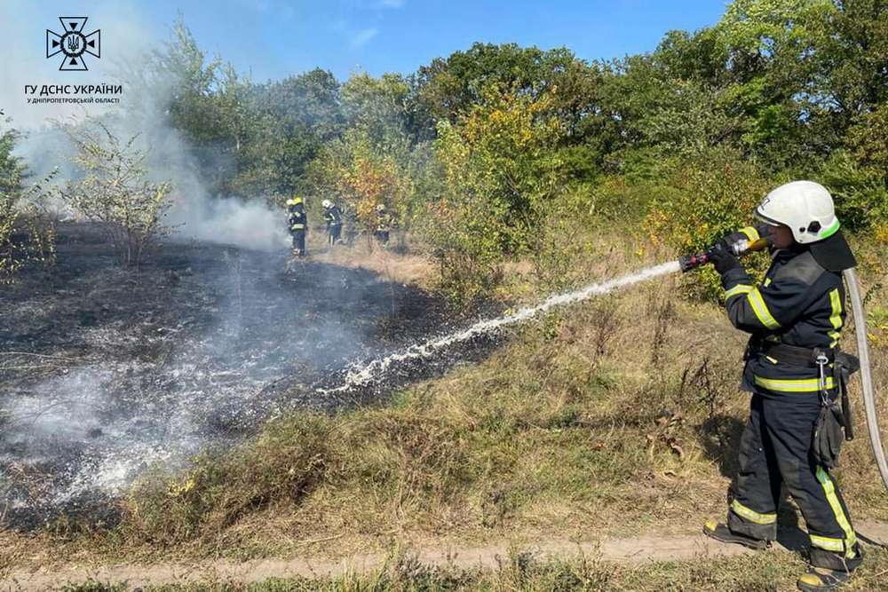 За добу на Дніпропетровщині ліквідували 49 пожеж на відкритих територіях