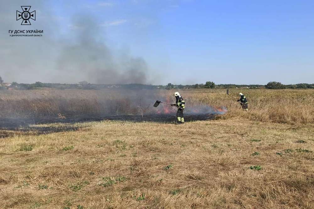 За добу на Дніпропетровщині ліквідували 49 пожеж на відкритих територіях
