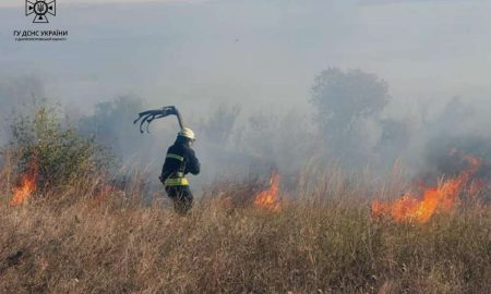 На Дніпропетровщині за добу вогонь знищив 55 га природних екосистем (фото)