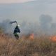На Дніпропетровщині за добу вогонь знищив 55 га природних екосистем (фото)