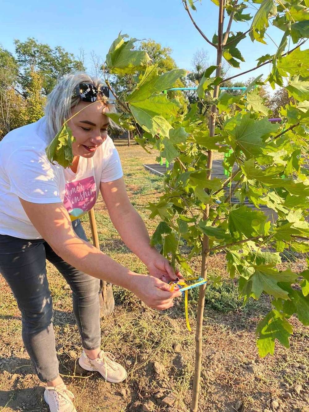 У Нікополі з нагоди Дня міста висадили дерева (фото)