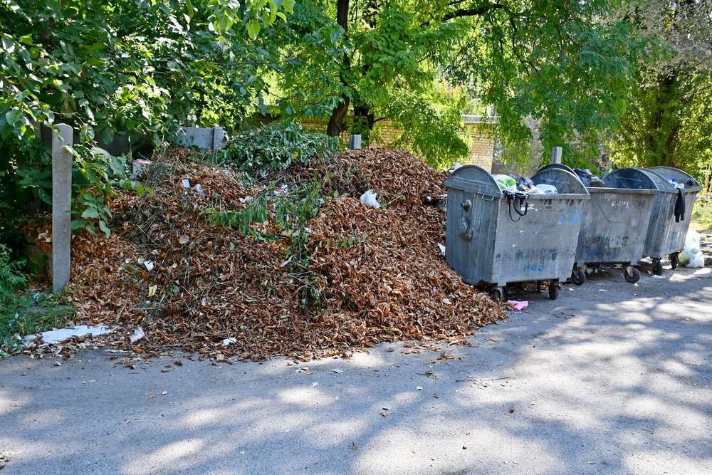 У Нікополі планують створити комунальне підприємство з вивезення сміття: чи зміниться вартість послуги