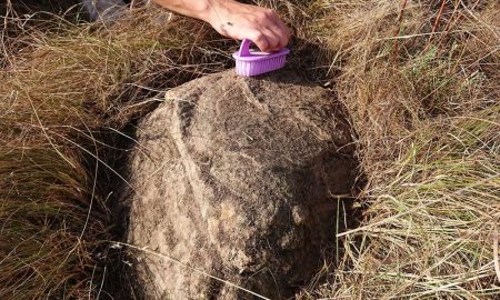 На Нікопольщині знайшли старовинний гранітний камінь (фото)