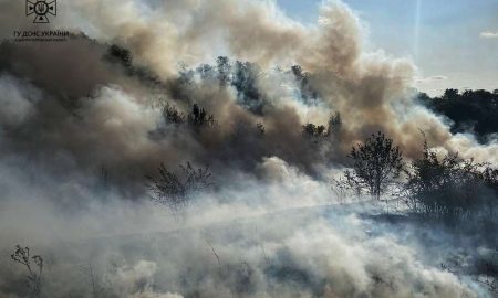 На Дніпропетровщині за добу сталося 52 пожежі в екосистемах