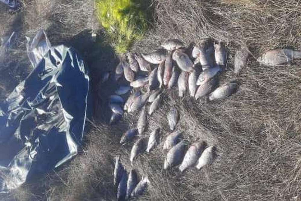 Каховського водосховища нема, а порушників на ньому ловлять – біля Нікополя затримали браконьєра