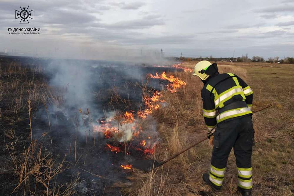 На Дніпропетровщині за добу ліквідували 29 пожеж в екосистемах (фото)