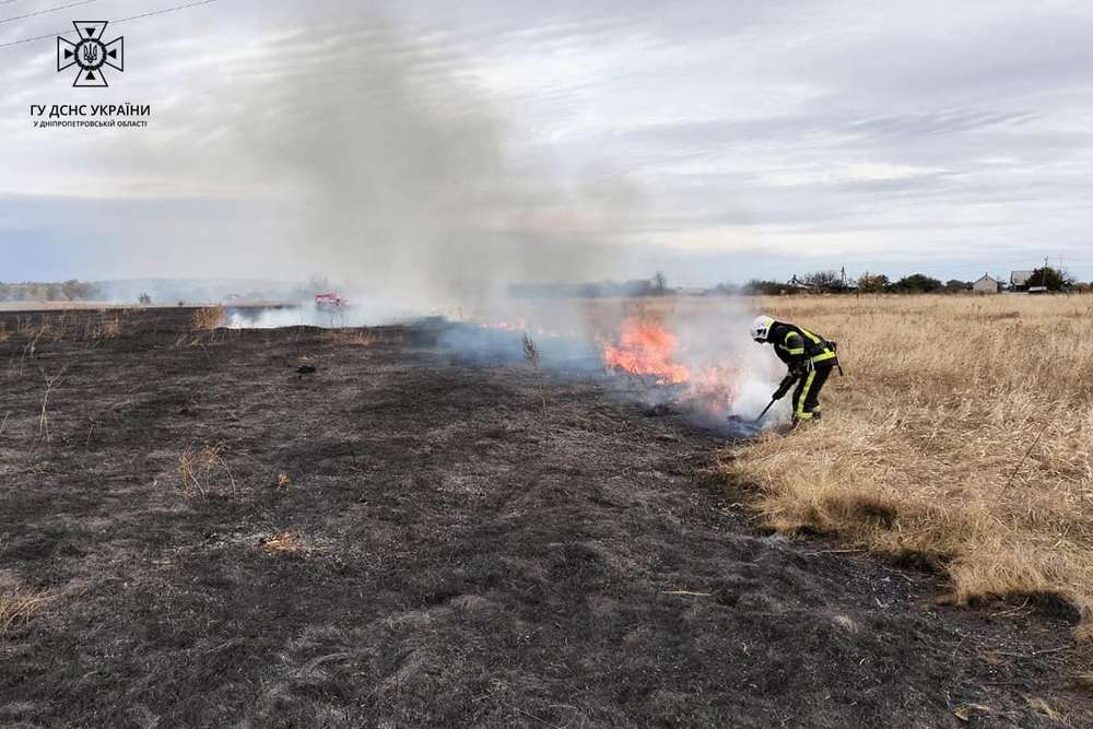 На Дніпропетровщині за добу ліквідували 29 пожеж в екосистемах (фото)