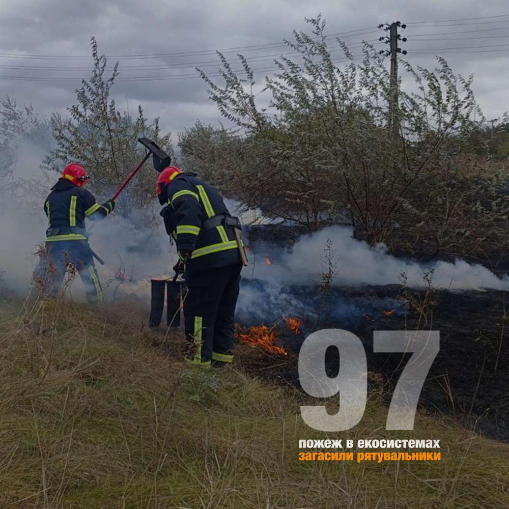 Надзвичайники Дніпропетровщини за тиждень врятували 35 людей, 8 загинули