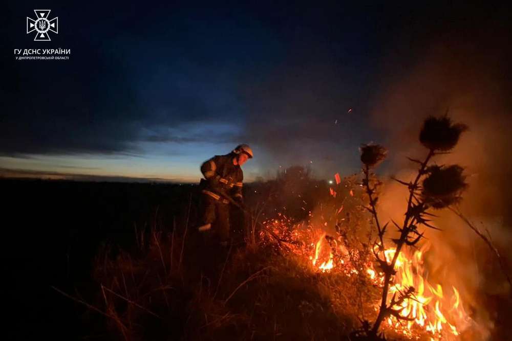 На Дніпропетровщині вогнеборці ліквідували 29 пожеж в екосистемах