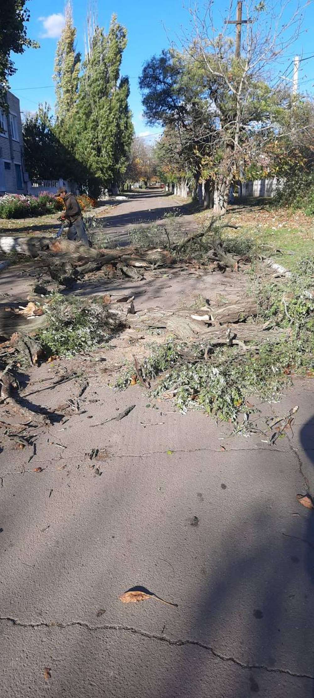 У Покрові буревій повалив 10 дерев і пошкодив електромережі – комунальники усували наслідки