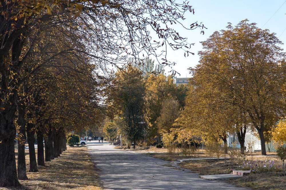 Як пройшла ніч 25 жовтня у Нікополі, розповів Олександр Саюк