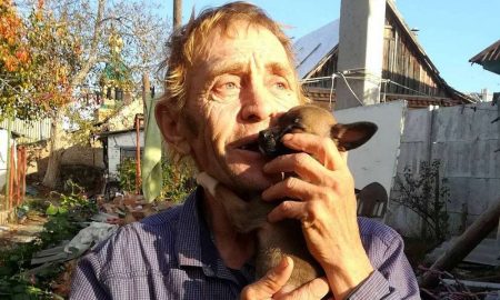 Незламні: у Нікополі чоловік годує 20 покинутих собачат – йому потрібна допомога