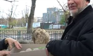 «От вам, дядєнька, ядра, яким 500 років» - у Нікополі показали унікальні артефакти з дна Каховського водосховища