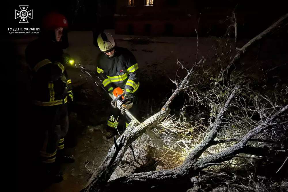 На Нікопольщині та в інших районах області рятувальники усували наслідки негоди: фото