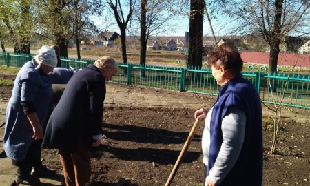 У ліцеї на Нікопольщині висадили луковиці тюльпанів та саджанці павловній