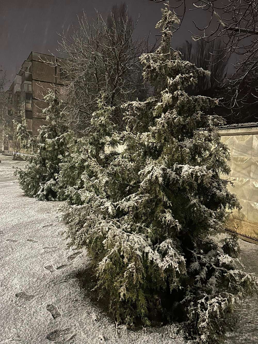 На Нікопольщині 19 листопада випав перший сніг (фото, відео)