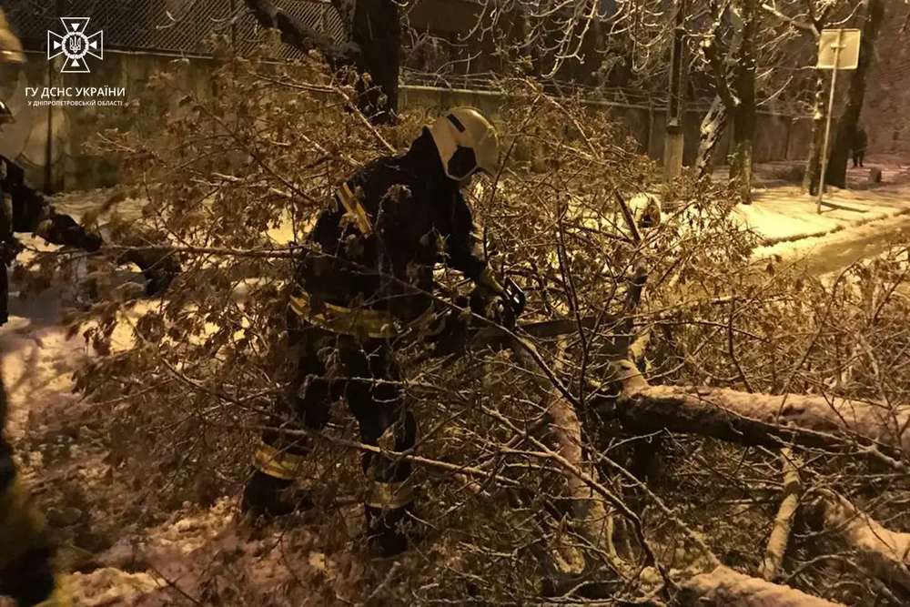 На Нікопольщині та в інших районах області рятувальники усували наслідки негоди: фото