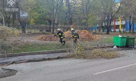 У Покрові дерево впало на навіс магазина: про наслідки негоди на Дніпропетровщині розповіли у ДСНС