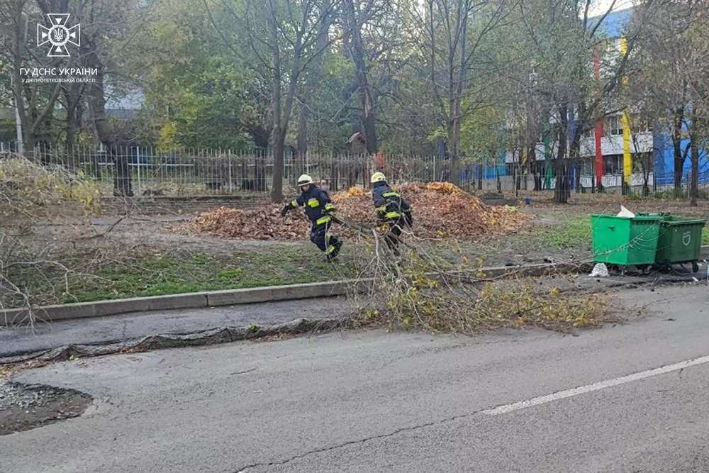 У Покрові дерево впало на навіс магазина: про наслідки негоди на Дніпропетровщині розповіли у ДСНС