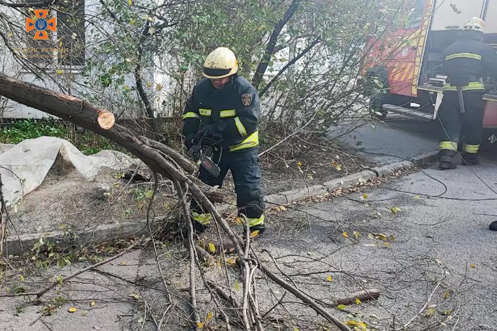 У Покрові дерево впало на навіс магазина: про наслідки негоди на Дніпропетровщині розповіли у ДСНС