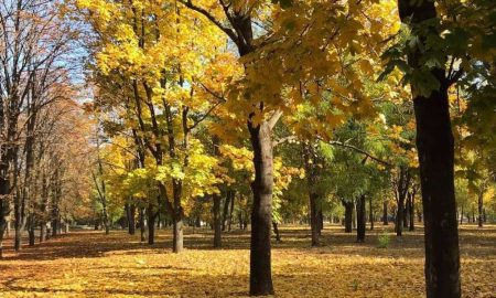 Сонячно і відносно тепло: якою буде погода у Нікополі 7 листопада