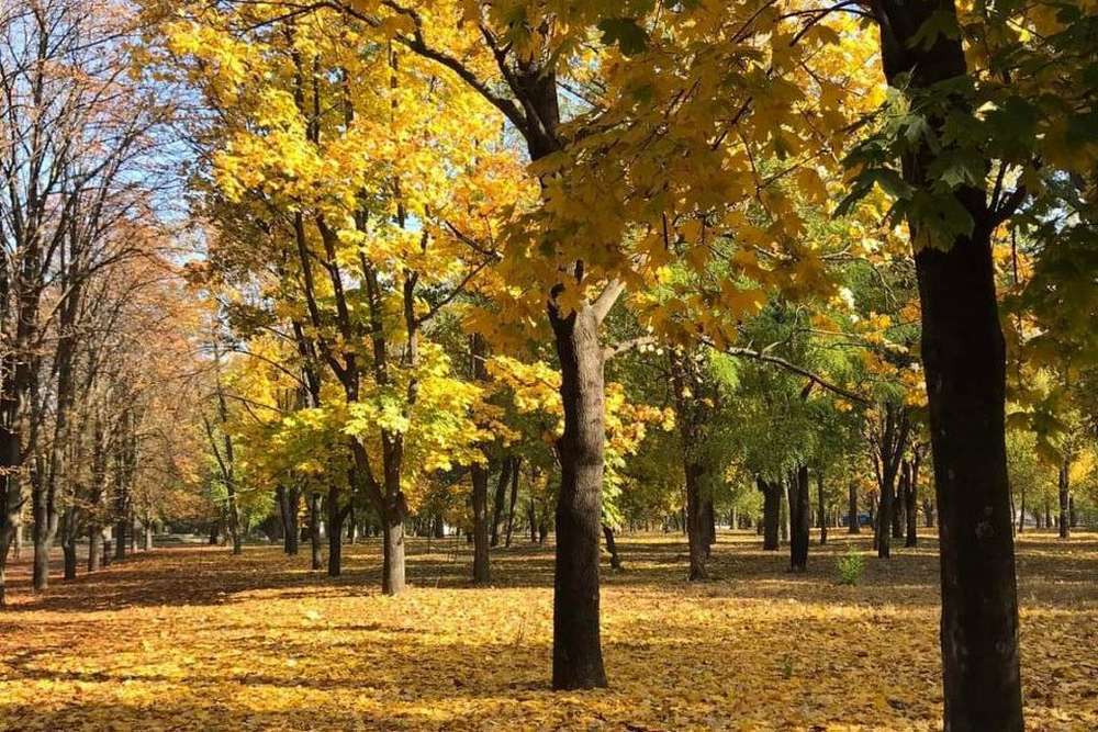 Сонячно і відносно тепло: якою буде погода у Нікополі 7 листопада