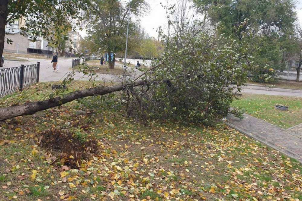 У Покрові комунальники усували наслідки негоди (фото)