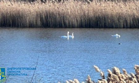 На Дніпропетровщині громаді повернули водосховище вартістю 1,7 млрд грн