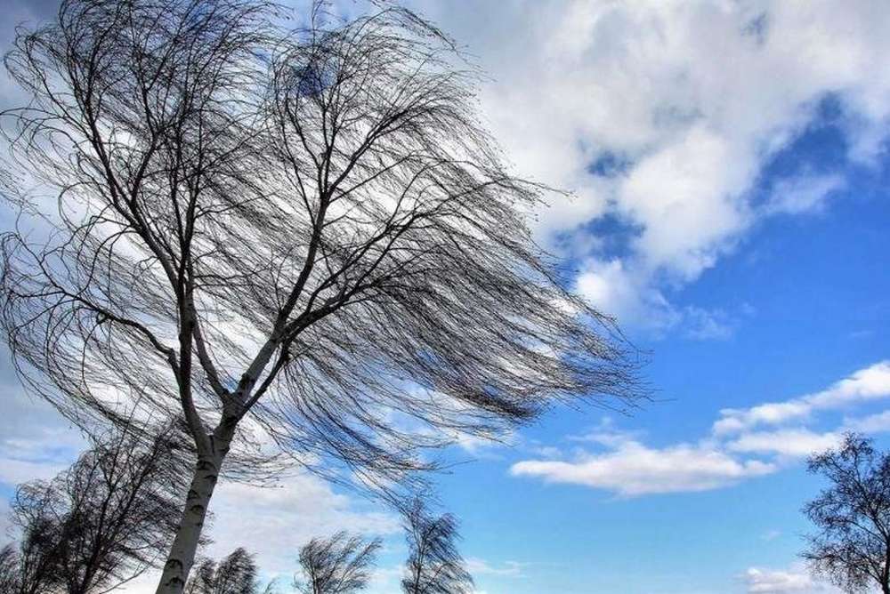 На Дніпропетровщині 11 листопада очікується сильний вітер