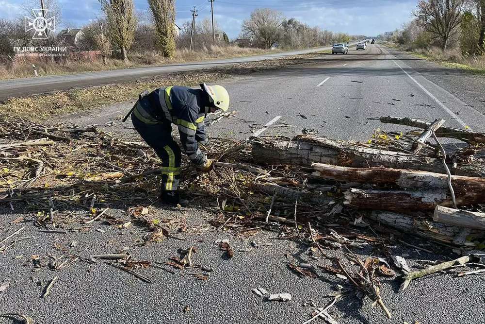 У Покрові дерево впало на навіс магазина: про наслідки негоди на Дніпропетровщині розповіли у ДСНС