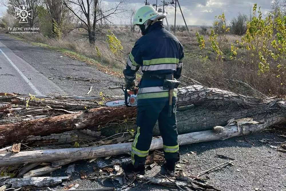 У Покрові дерево впало на навіс магазина: про наслідки негоди на Дніпропетровщині розповіли у ДСНС