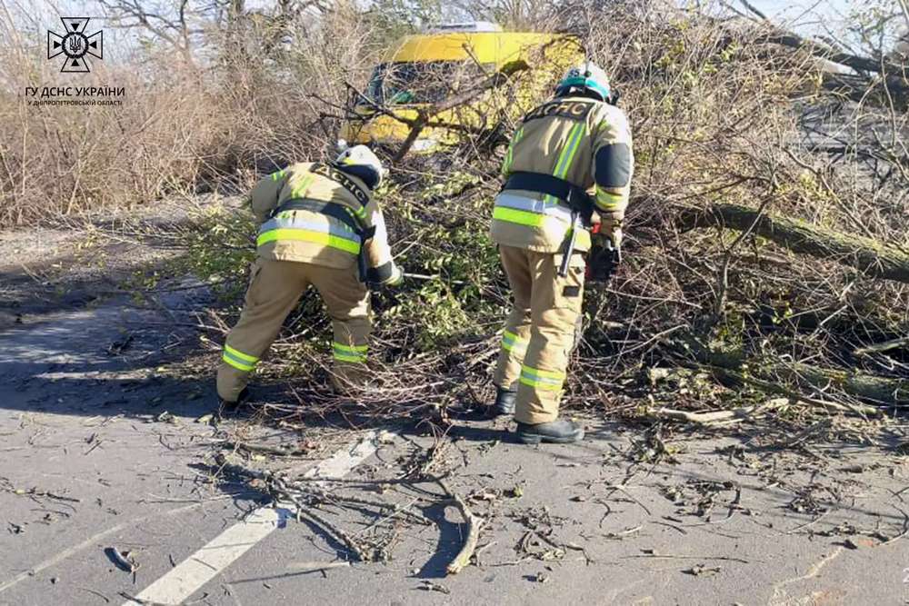 У Покрові дерево впало на навіс магазина: про наслідки негоди на Дніпропетровщині розповіли у ДСНС