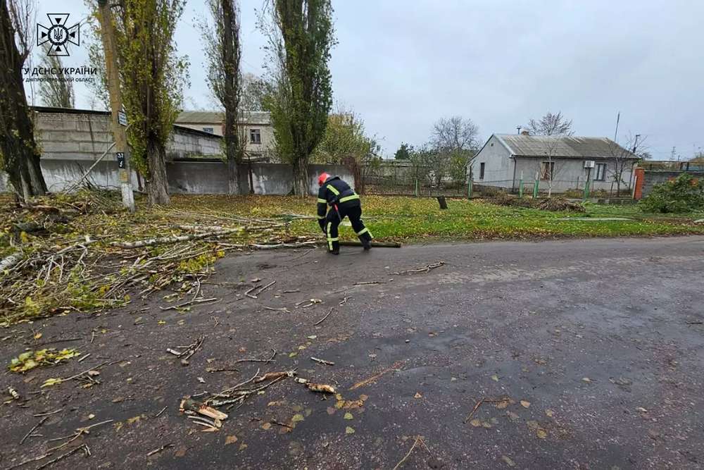 У Покрові дерево впало на навіс магазина: про наслідки негоди на Дніпропетровщині розповіли у ДСНС