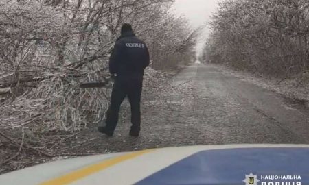На Нікопольщині дерева заледеніли і впали на дороги: поліція ліквідує наслідки негоди (відео)