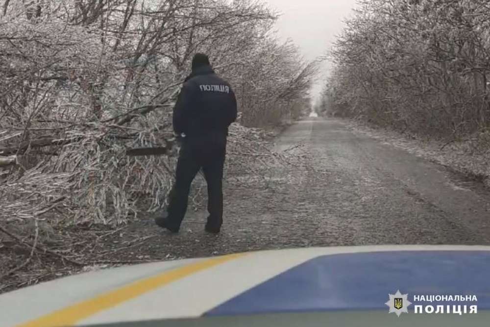 На Нікопольщині дерева заледеніли і впали на дороги: поліція ліквідує наслідки негоди (відео)