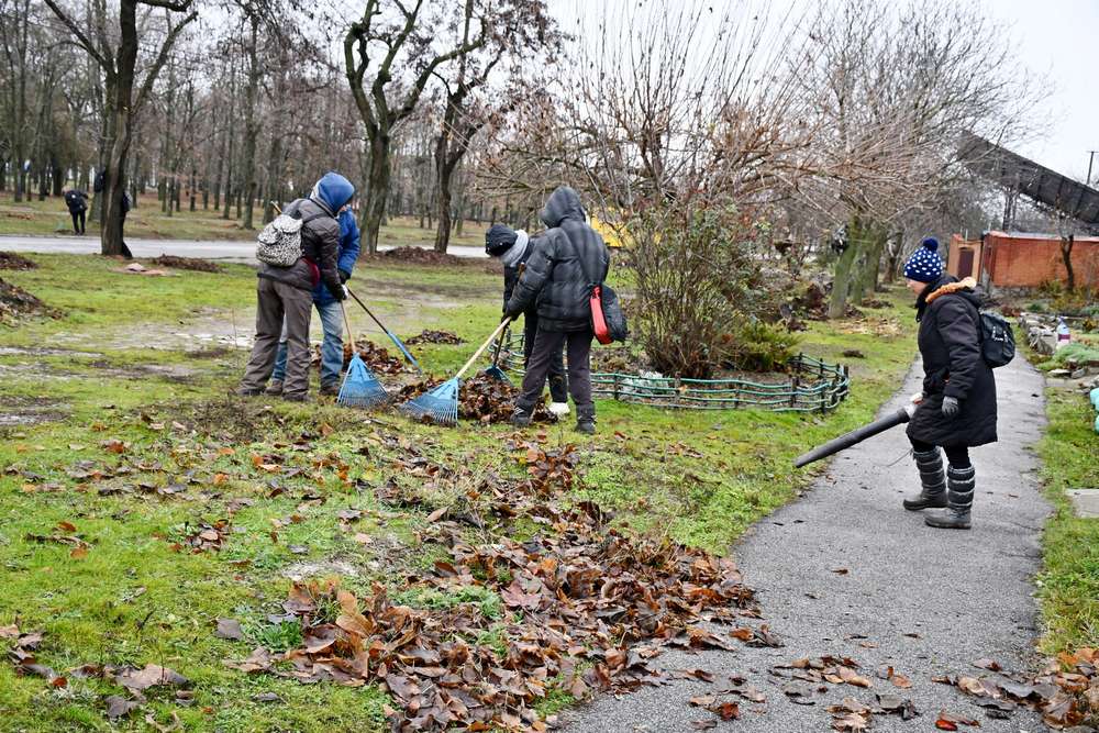 Зносили аварійні дерева, згрібали листя, прибирали звалища – робота комунальників Нікополя на цьому тижні