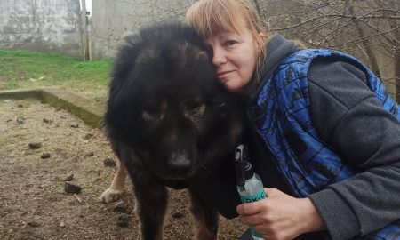 У Нікополі помер евакуйований пес з Торецька