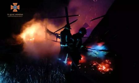 На Нікопольщині вночі сталася пожежа (фото)