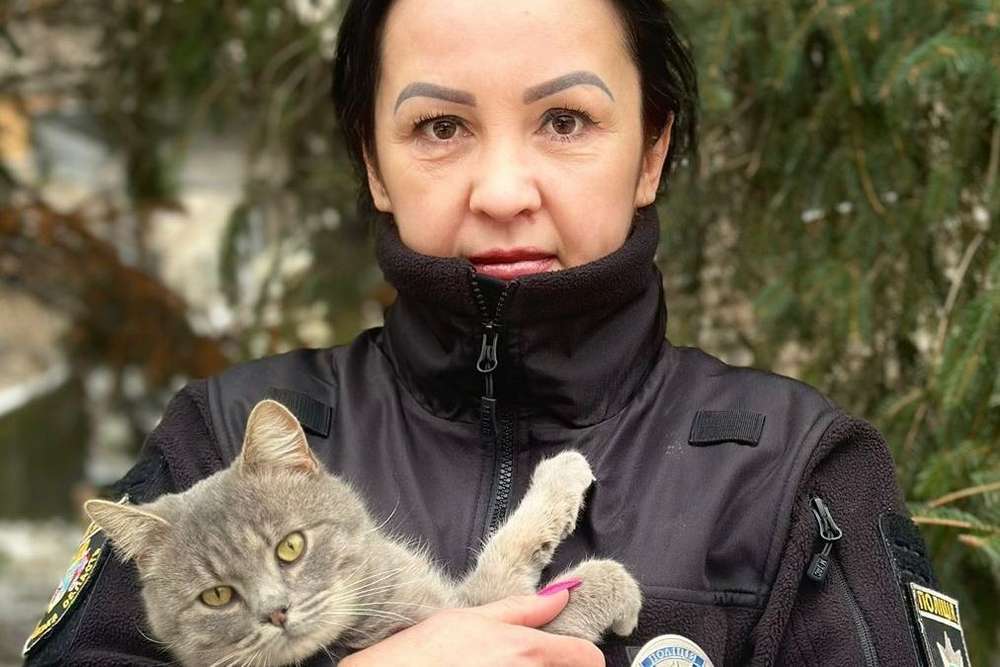 На території управління поліції у Нікополі оселилися тварини: правоохоронці доглядають за ними