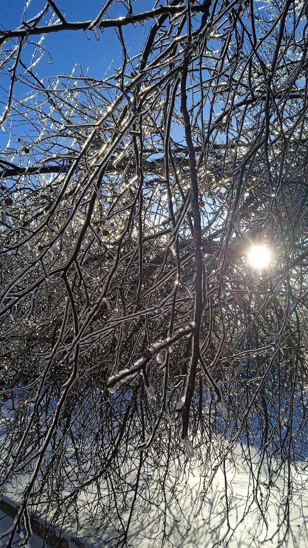 Зимова казка у Томаківці – мешканці діляться красивими фото