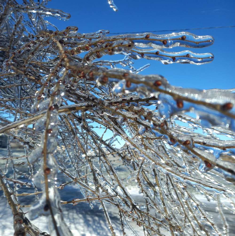 Зимова казка у Томаківці – мешканці діляться красивими фото