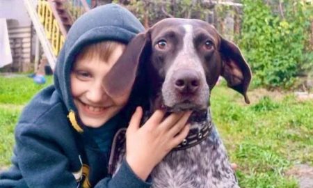 Поліцейський з Дніпра врятував з-під обстрілів собаку і забрав у свою родину
