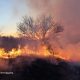 На Дніпропетровщині сталися масштабні пожежі на відкритих територіях (фото)