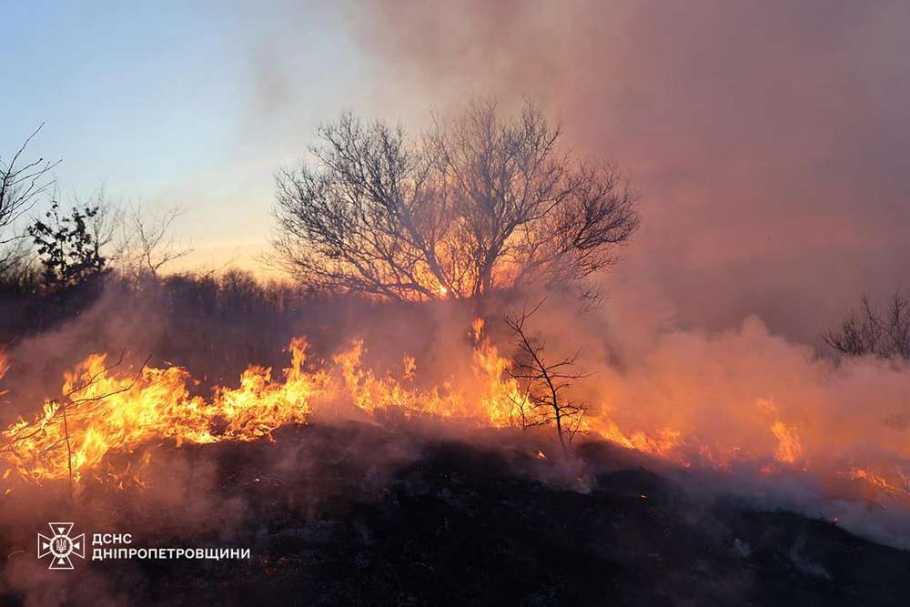 На Дніпропетровщині сталися масштабні пожежі на відкритих територіях (фото)