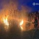 На Дніпропетровщині протягом доби сталося 60 пожеж в екосистемах (фото)