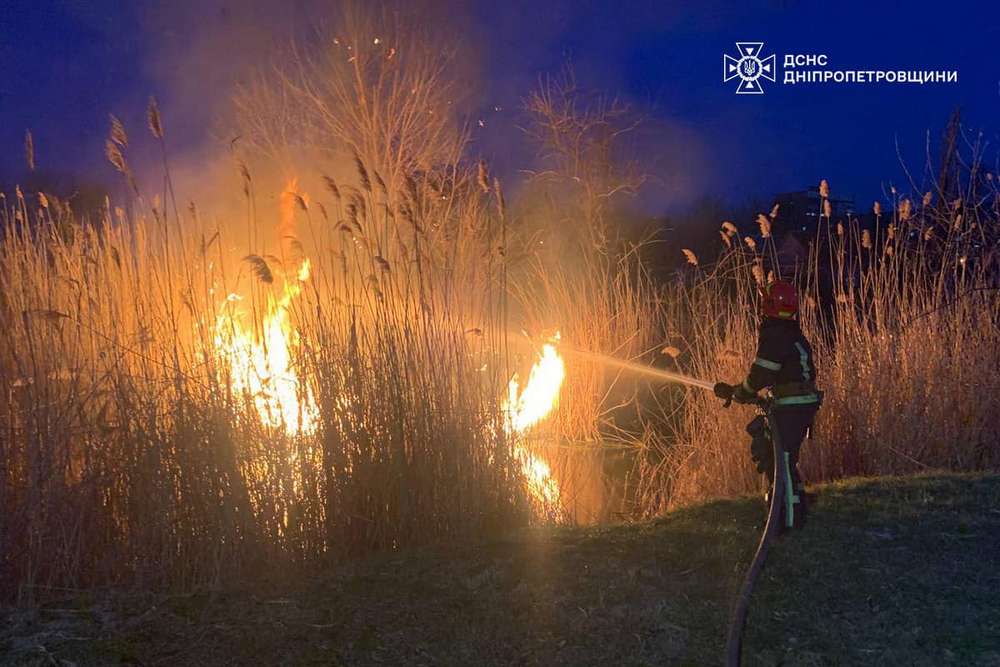 На Дніпропетровщині протягом доби сталося 60 пожеж в екосистемах (фото)