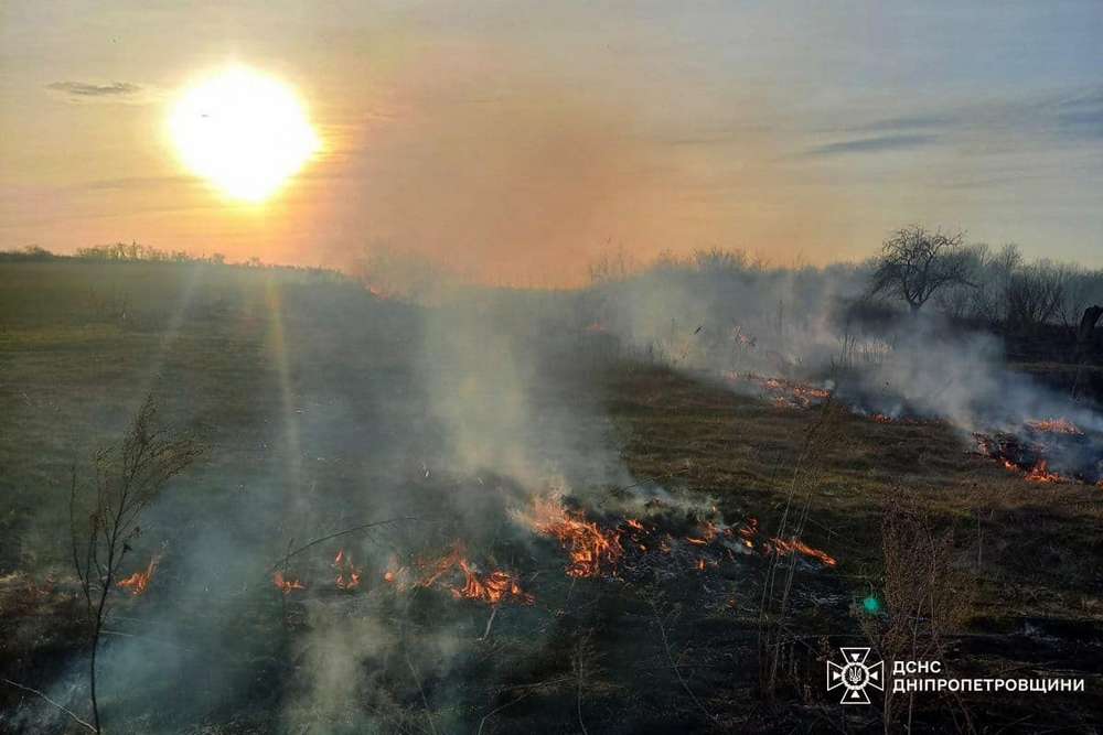 На Дніпропетровщині за добу сталося 56 пожеж в екосистемах (фото)
