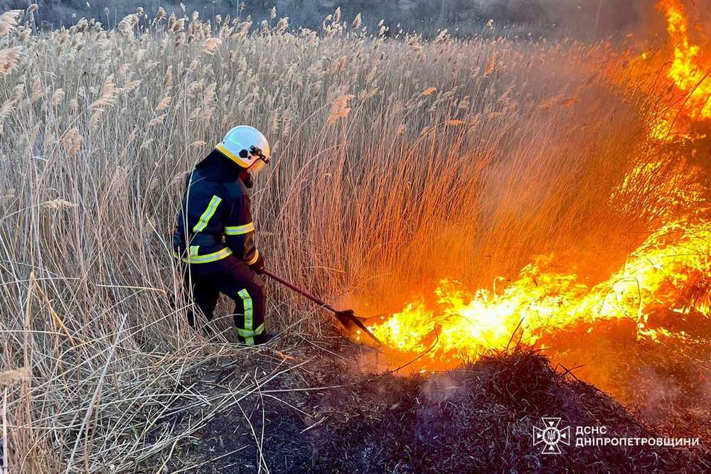 На Дніпропетровщині за добу сталося 56 пожеж в екосистемах (фото)