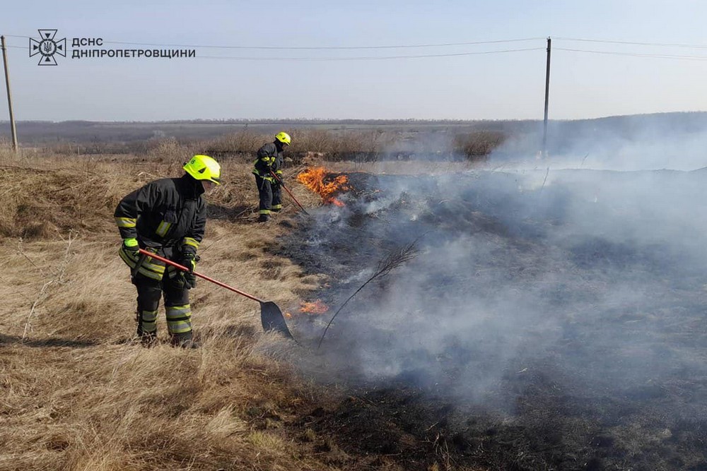 На Дніпропетровщині сталася 81 пожежа в екосистемах за добу: паліїв трави і сміття штрафують